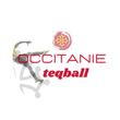 logo-club-occitanie-teqball