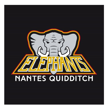 logo-club-nantes-quidditch