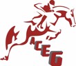 logo-club-association-du-centre-equestre-de-gennevillie