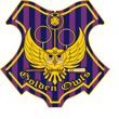 logo-club-golden-owls-quidditch---dijon-muggle-quidditc