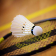 logo-club-badminton-club-suresnois