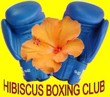 logo-club-hibiscus-boxing-club