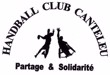 logo-club-handball-club-canteleu