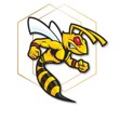 logo-club-dourdan-hornets-touch