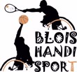 logo-club-blois-handisport