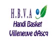 logo-club-handi-basket-villeneuve-d-ascq