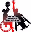 logo-club-meylan-grenoble-handibasket