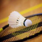 logo-club-badminton-club-chateauneuf-sur-isre